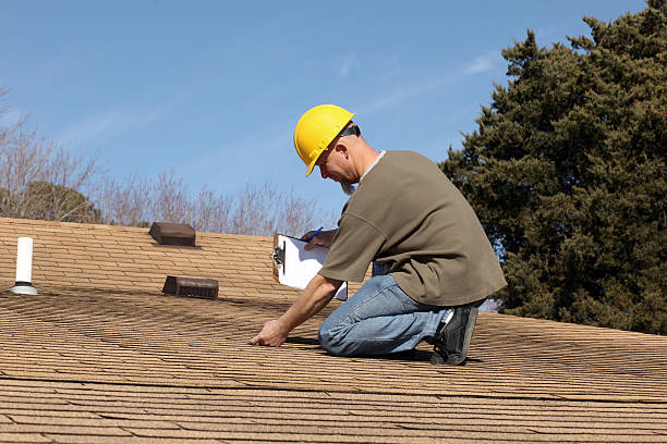 Best Roof Moss and Algae Removal  in Roaming Shores, OH